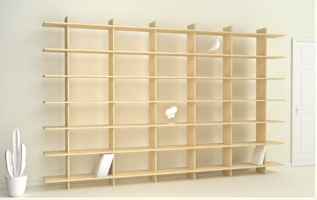 Custom Bookshelves